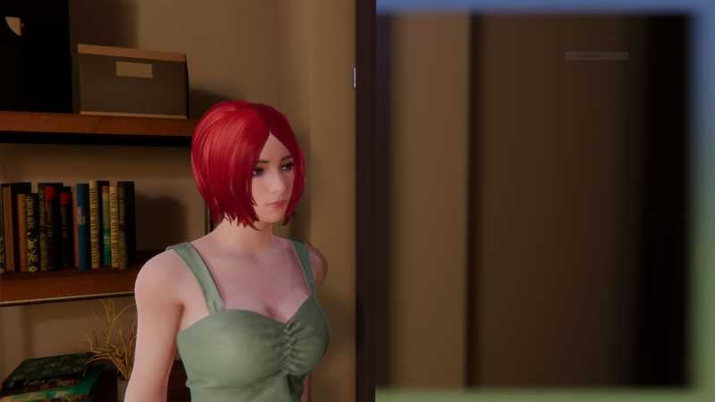 セックス方程式(Formula)v1.0 官方中文版 3D互动游戏