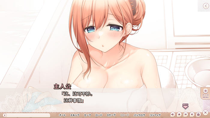 带你探索“就想带歪哥哥” v1.0 AI汉化版全CG ADV游戏，享受2.9G乐趣