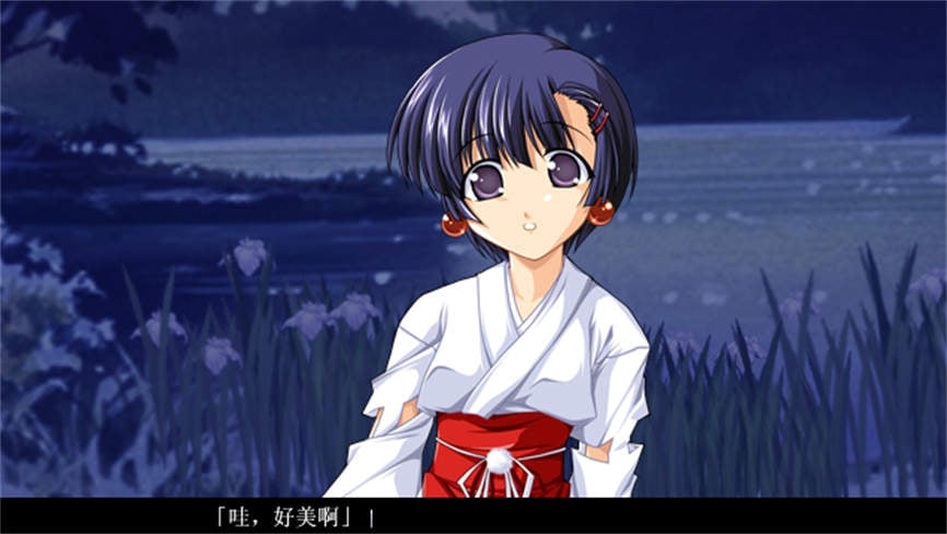 银色/Giniro