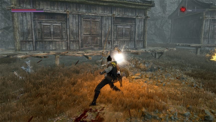 嗜血印/Bloody Spell（已更新至V240821豪华正式版-重大更新+集成魅影战歌-魅魔+渔网+剑仙等全DLCs+Build.15305955升级档+游戏修改器）