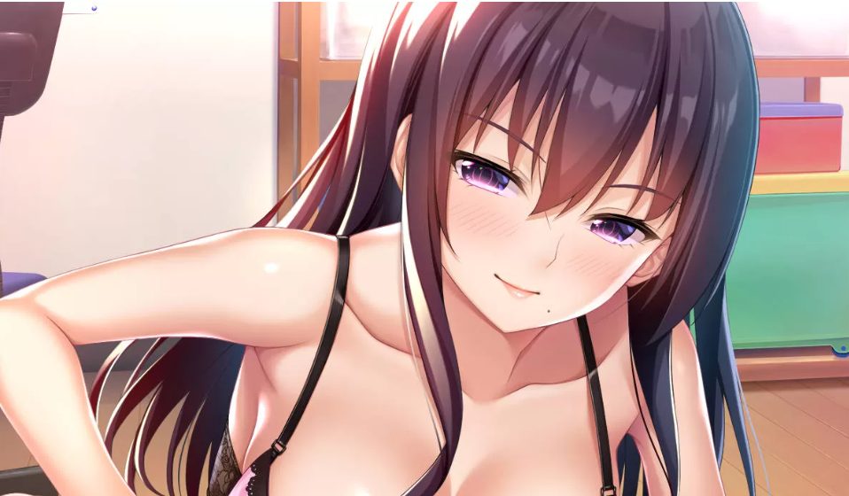 【安卓/PC/汉化版/CG/3.0G】请停手吧姐姐大人！要断了！完整汉化版 PC+安卓+全CG+补+3.0G