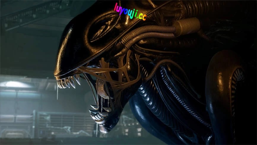 异形:夺命舰/异形:侠盗入侵/Alien:Rogue Incursion（仅支持VR设备）