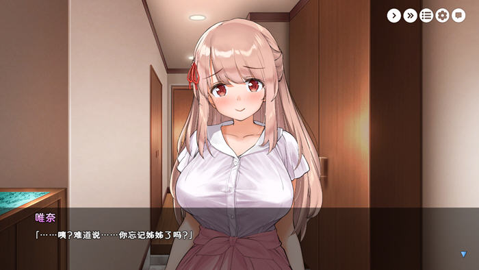 姐姐大人同居中:唯奈浓情蜜意的全肯定 STEAM官方中文版 SLG游戏 1.8G
