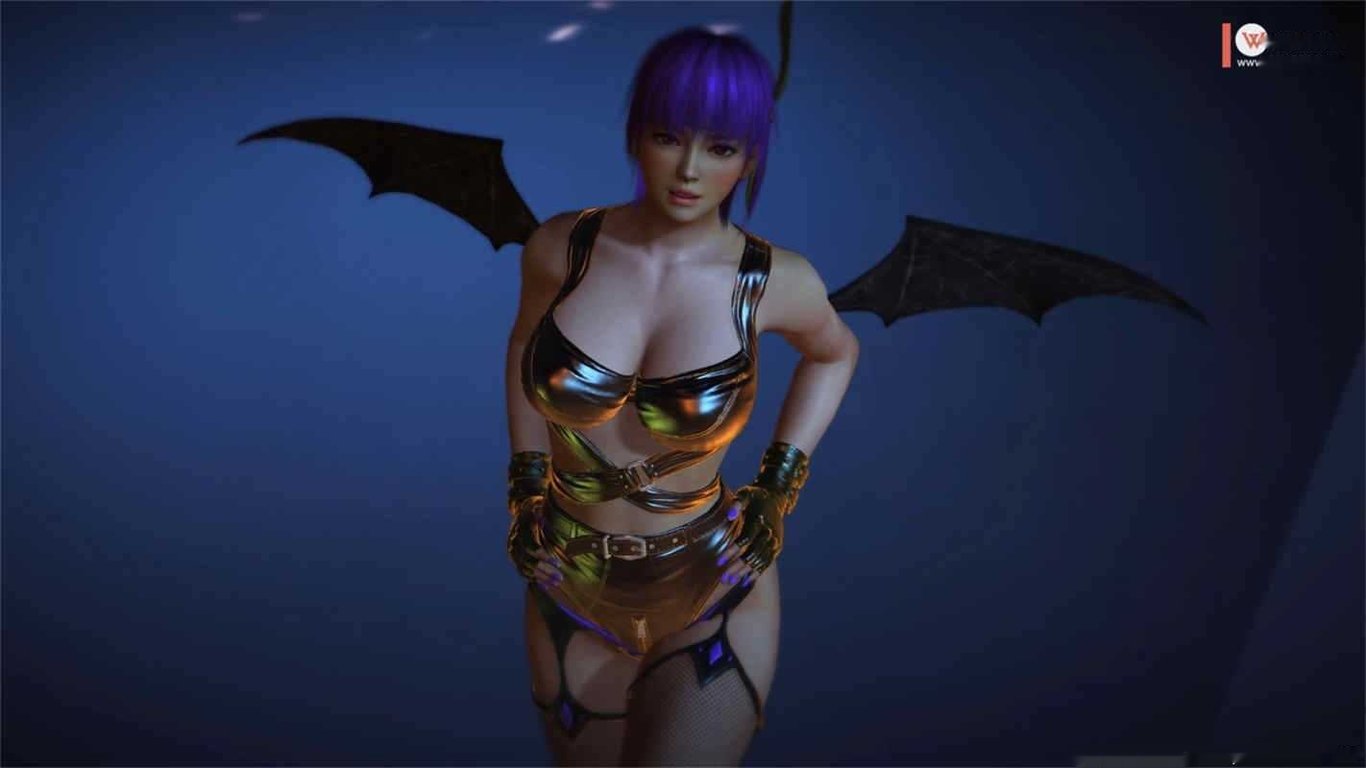 探秘绅士游戏的魅力：AWSL3D作品【补档/3D同人/动画】4.6G