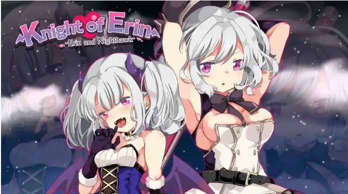 【PC/汉化版/RPG】女骑士艾琳(Nighthawkand Erin)Ver1.06 精翻汉化版+RPG游戏+500M+补
